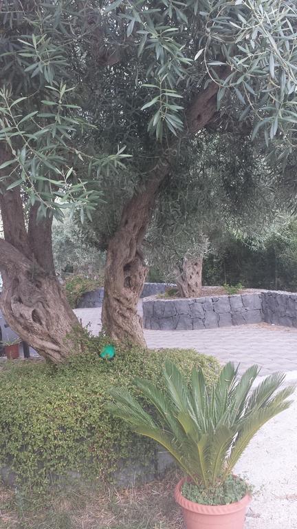Azienda Agricola Cuntarati * Bronte