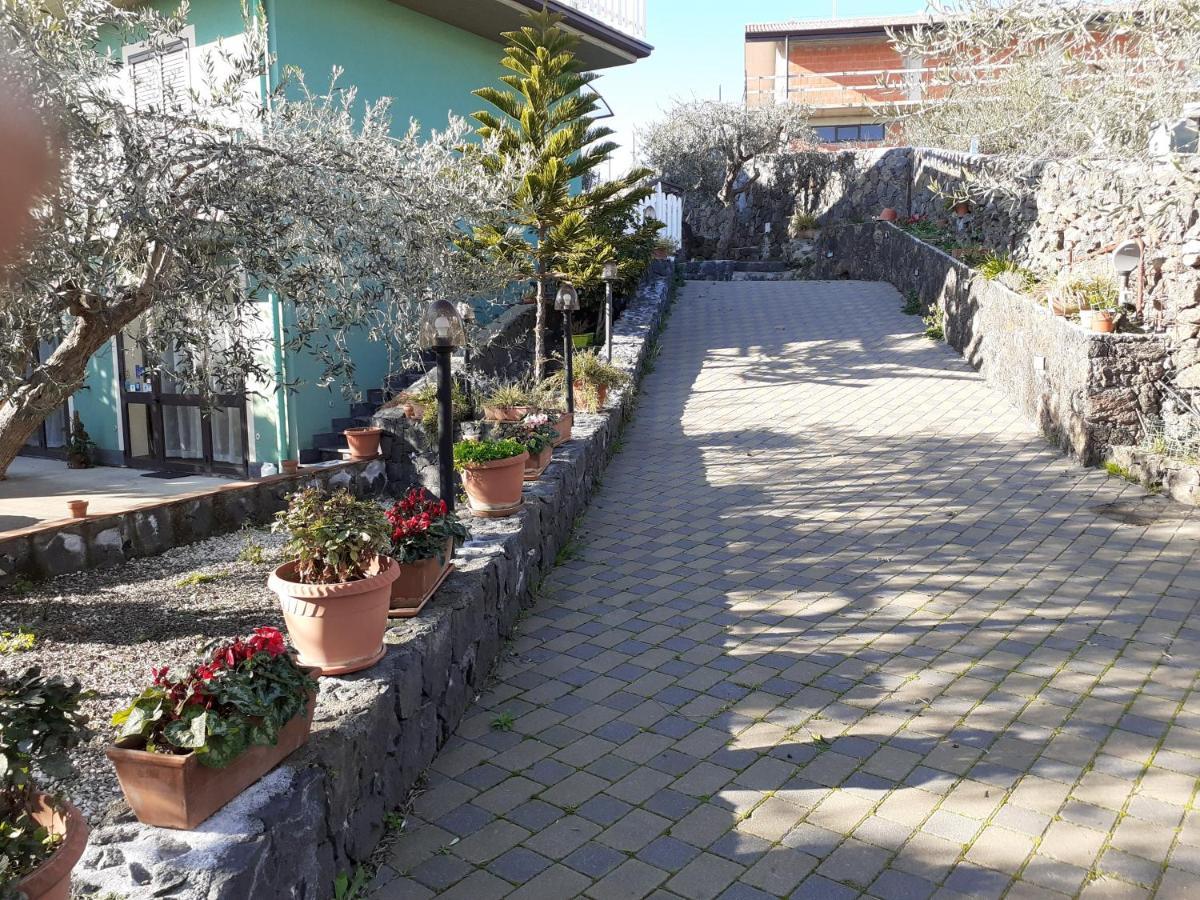 Azienda Agricola Cuntarati